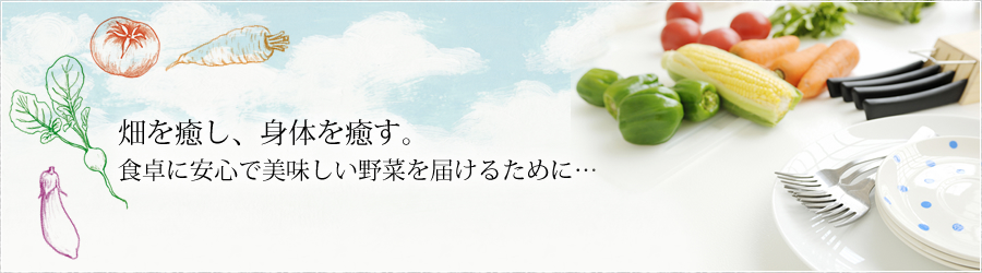 畑に癒し、体を癒す。食卓に安心でおいしい野菜を届けるために・・・　